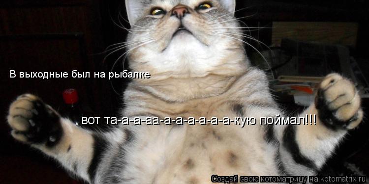 Котоматрица: В выходные был на рыбалке вот та-а-а-аа-а-а-а-а-а-а-кую поймал!!!