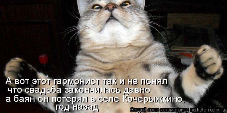 Котоматрица: А вот этот гармонист так и не понял что свадьба закончилась давно а баян он потерял в селе Кочерыжкино год назад .