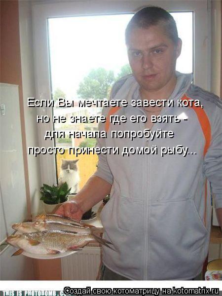 Если Вы мечтаете завести кота, но не знаете где его взять - для начала попробуйте просто принести до... Котоматрица: Если Вы мечтаете завести кота, но не знаете где его взять - для начала попробуйте просто принести домой рыбу...