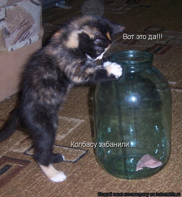 Котоматрица: Вот это да!!! Колбасу забанили...