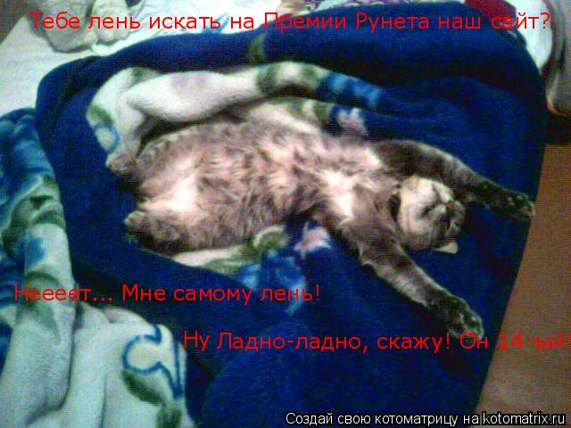 Котоматрица: Тебе лень искать на Премии Рунета наш сайт? Неееет... Мне самому лень! Ладно-ладно, скажу! Он 14-ый! Ну