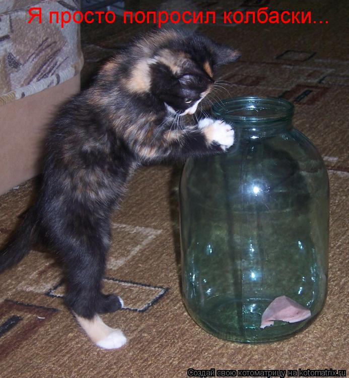 Котоматрица: Я просто попросил колбаски...