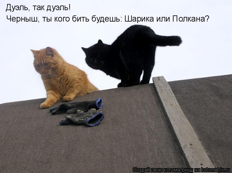 Котоматрица: Дуэль, так дуэль! Черныш, ты кого бить будешь: Шарика или Полкана?