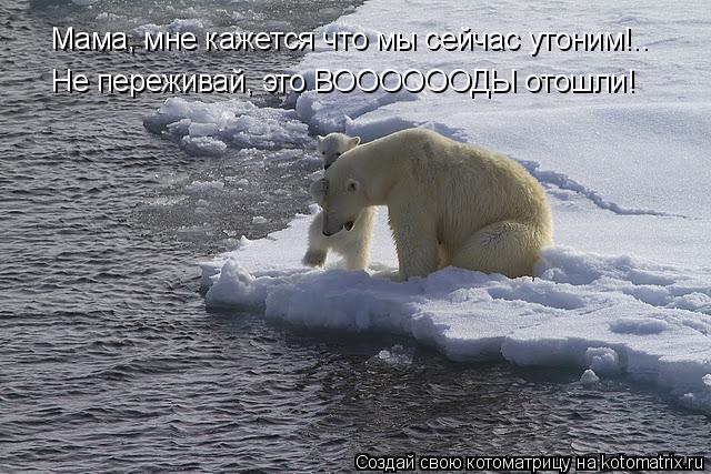 Котоматрица: Мама, мне кажется что мы сейчас утоним!.. Не переживай, это ВООООООДЫ отошли!