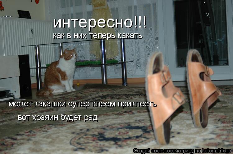 Котоматрица: интересно!!! как в них теперь какать может какашки супер клеем приклееть вот хозяин будет рад