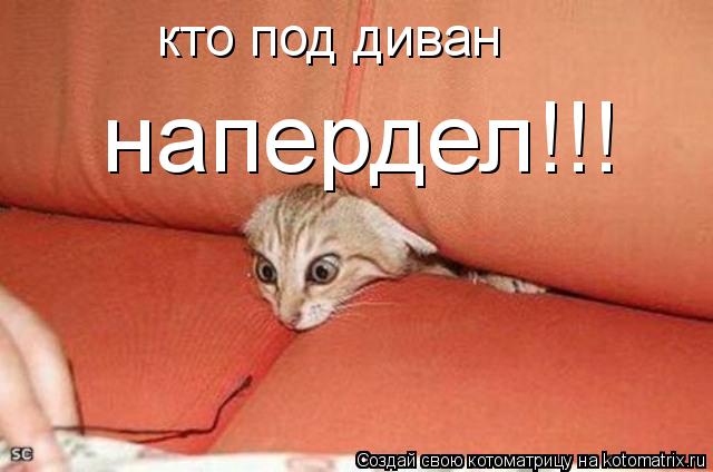Котоматрица: кто под диван напердел!!!