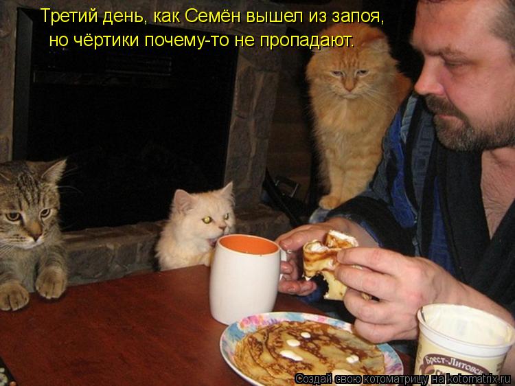 Котоматрица: Третий день, как Семён вышел из запоя,  но чёртики почему-то не пропадают.