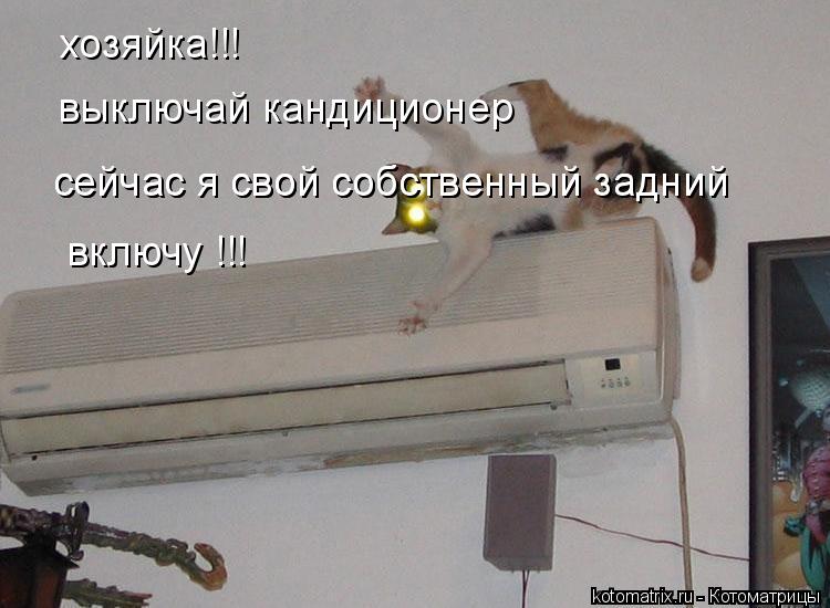 Котоматрица: хозяйка!!! выключай кандиционер  сейчас я свой собственный задний сейчас я свой собственный задний включу !!!