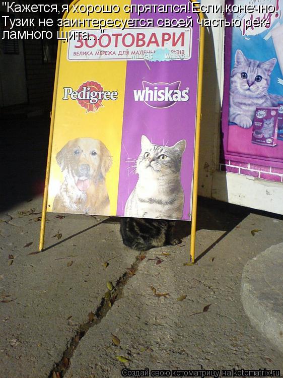 Котоматрица: "Кажется,я хорошо спрятался!Если,конечно, Тузик не заинтересуется своей частью рек- ламного щита..."