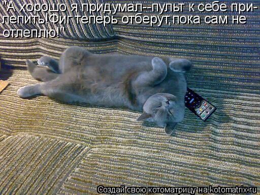 Котоматрица: "А хорошо я придумал--пульт к себе при- лепить!Фиг теперь отберут,пока сам не отлеплю!"
