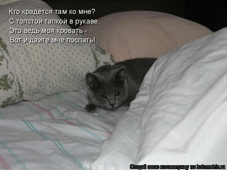 Котоматрица: Кто крадётся там ко мне? С толстой тапкой в рукаве. Это ведь моя кровать -  Вот и дайте мне поспать!