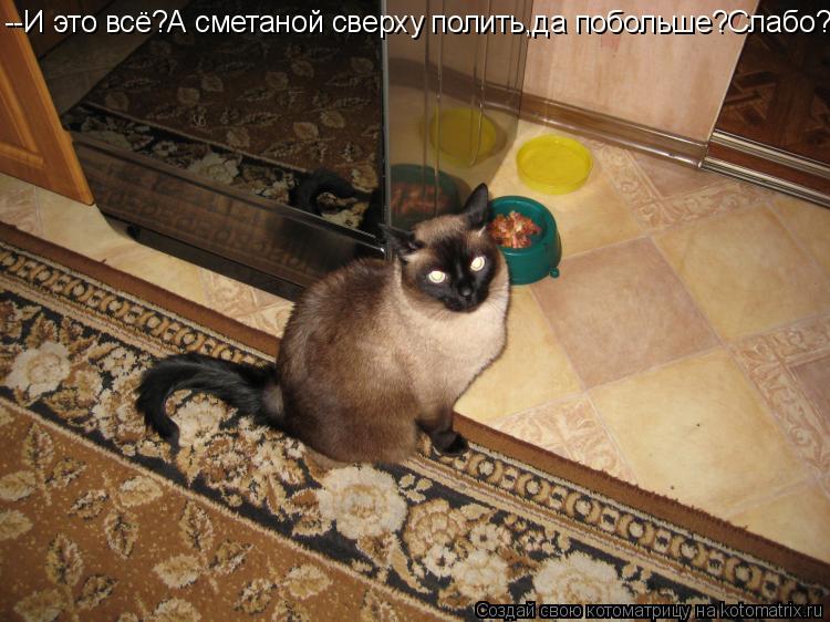 Котоматрица: --И это всё?А сметаной сверху полить,да побольше?Слабо?