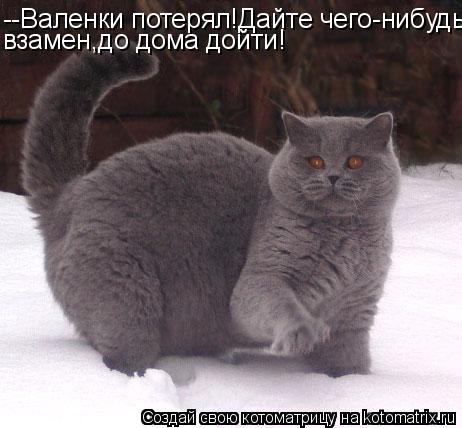 Котоматрица: --Валенки потерял!Дайте чего-нибудь взамен,до дома дойти!