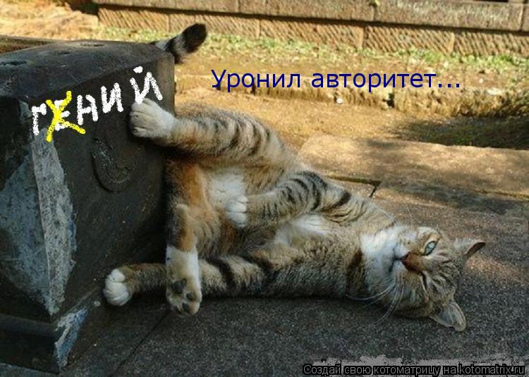 Котоматрица: Уронил авторитет...