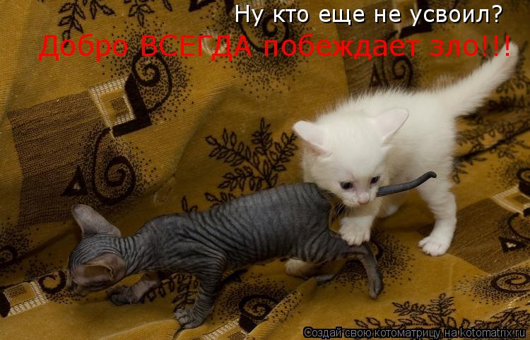 Котоматрица: Ну кто еще не усвоил? Добро ВСЕГДА побеждает зло!!!