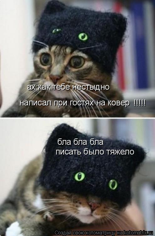 Котоматрица: ах как тебе нестыдно написал при гостях на ковер !!!!! бла бла бла  писать было тяжело