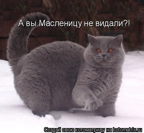 Котоматрица: А вы Масленицу не видали?!