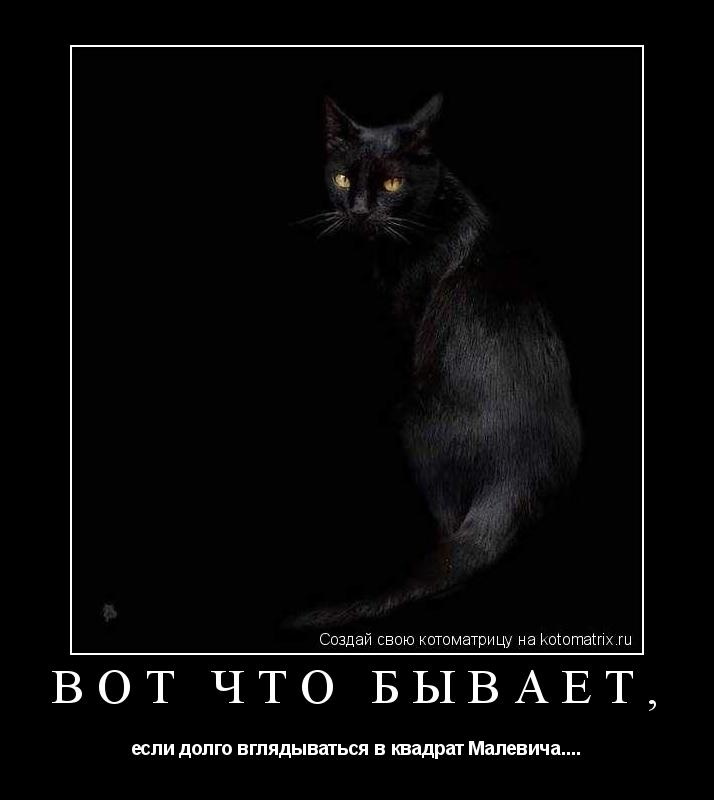 ВОТ ЧТО БЫВАЕТ, если долго вглядываться в квадрат Малевича....... Котоматрица: ВОТ ЧТО БЫВАЕТ, если долго вглядываться в квадрат Малевича....
