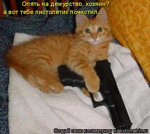 Котоматрица: Опять на дежурство, хозяин? а вот тебе пистолетик почистил...