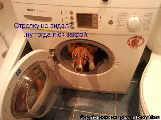 Котоматрица: Стрелку не видал? ..ну тогда люк закрой.