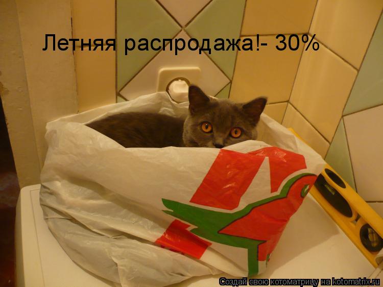 Котоматрица: Летняя распродажа!- 30%