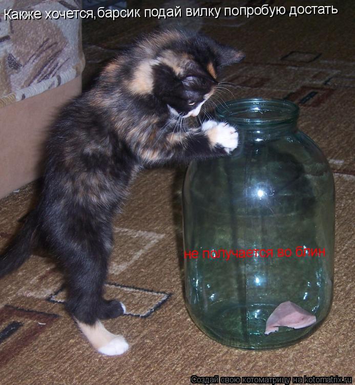 Котоматрица: Какже хочется,барсик подай вилку попробую достать не получается во блин