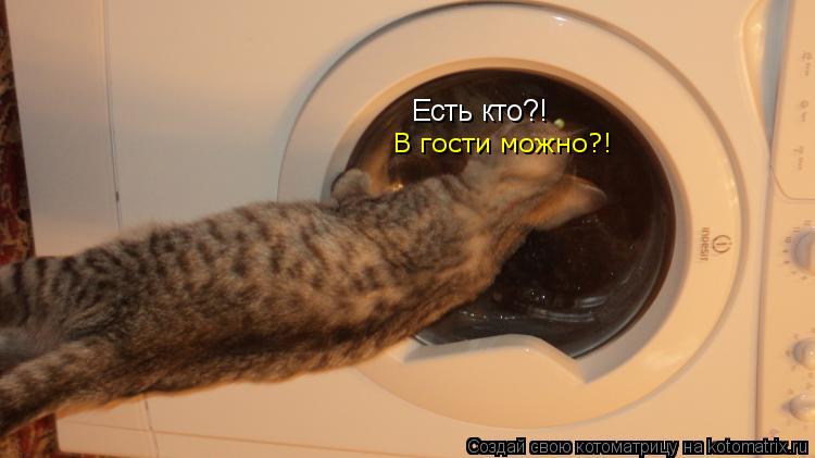 Котоматрица: Есть кто?! В гости можно?!