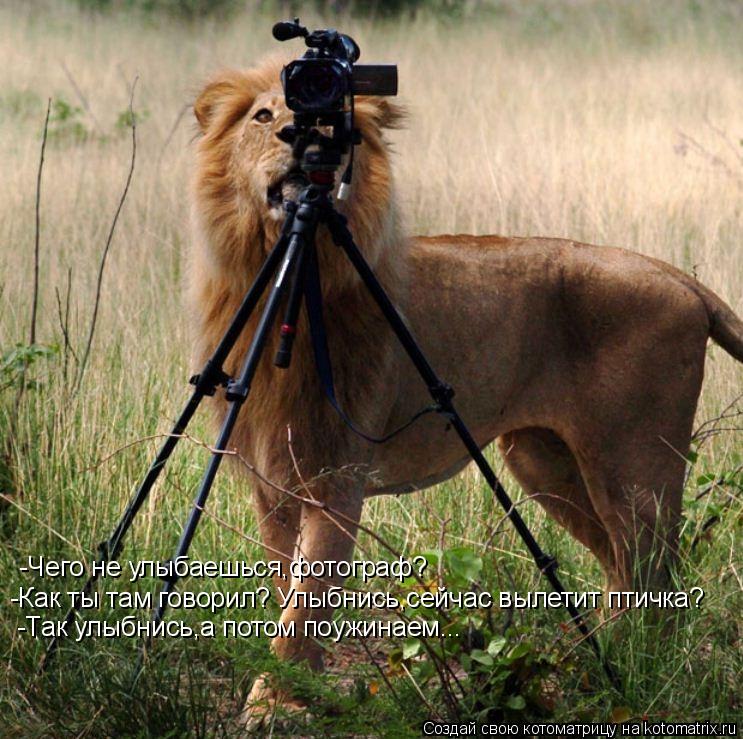 Котоматрица: -Как ты там говорил? Улыбнись,сейчас вылетит птичка? -Так улыбнись,а потом поужинаем... -Чего не улыбаешься,фотограф?