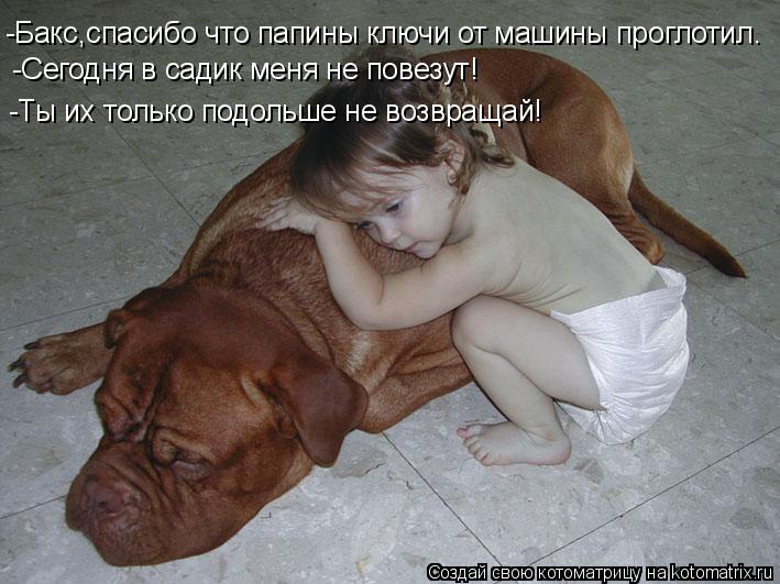 Котоматрица: -Бакс,спасибо что папины ключи от машины проглотил. -Сегодня в садик меня не повезут! -Ты их только подольше не возвращай!