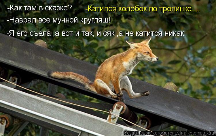 Котоматрица: -Как там в сказке? -Катился колобок по тропинке.... -Наврал все мучной кругляш! -Я его съела ,а вот и так, и сяк ,а не катится никак