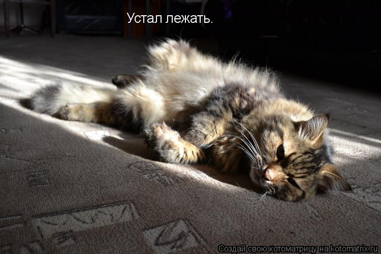 Котоматрица: Устал лежать.