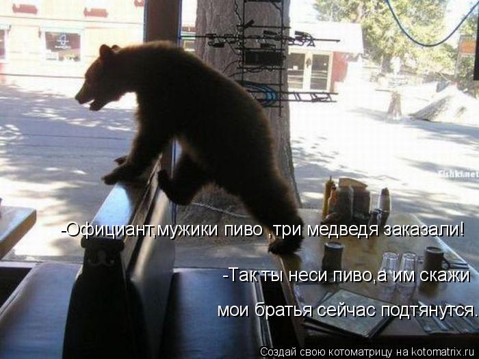 Котоматрица: -Официант,мужики пиво ,три медведя заказали! -Так ты неси пиво,а им скажи  мои братья сейчас подтянутся..