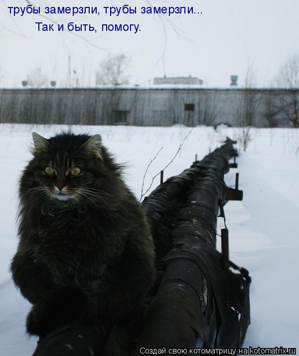Котоматрица: трубы замерзли, трубы замерзли... Так и быть, помогу.