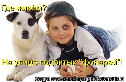 Котоматрица: На улице подбитых "фонарей"! Где живём?