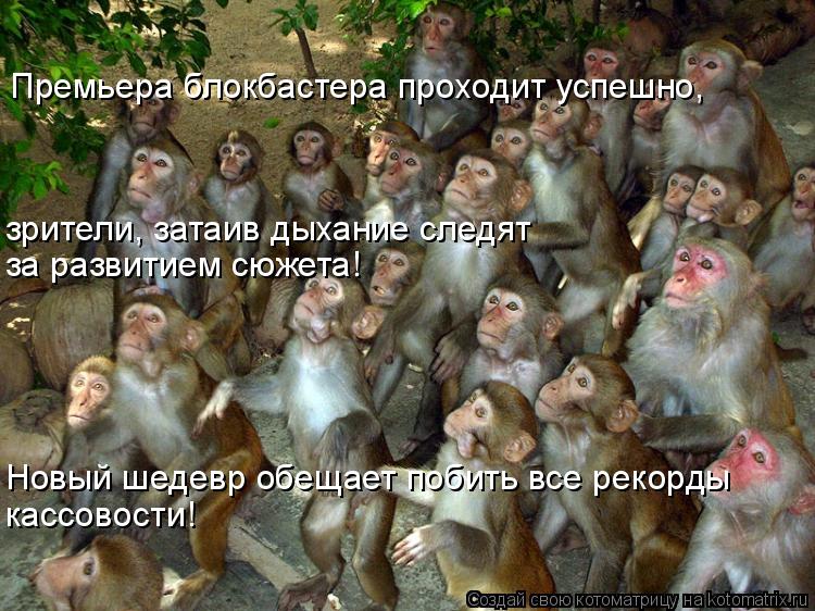 Котоматрица: Премьера блокбастера проходит успешно, зрители, затаив дыхание следят за развитием сюжета! Новый шедевр обещает побить все рекорды кассов