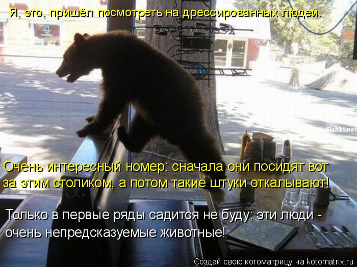 Котоматрица: Очень интересный номер: сначала они посидят вот за этим столиком, а потом такие штуки откалывают! Только в первые ряды садится не буду: эти л