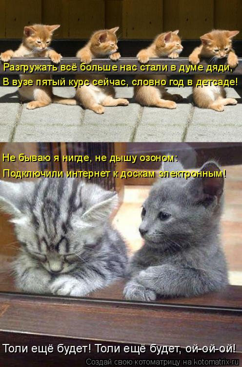 Котоматрица: Разгружать всё больше нас стали в думе дяди, В вузе пятый курс сейчас, словно год в детсаде! Подключили интернет к доскам электронным! Не быв