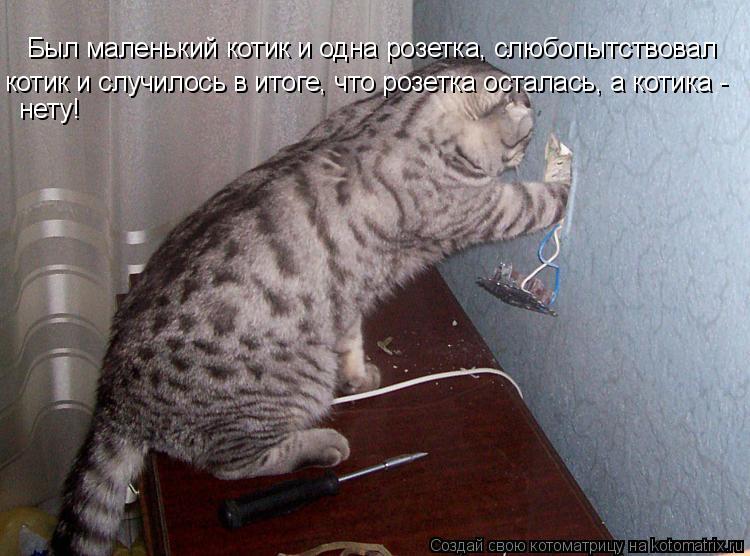 Был маленький котик и одна розетка, слюбопытствовал котик и случилось в итоге, что розетка осталась,... Котоматрица: Был маленький котик и одна розетка, слюбопытствовал котик и случилось в итоге, что розетка осталась, а котика - нету!