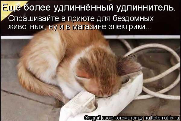 Ещё более удлиннённый удлиннитель. Спрашивайте в приюте для бездомных животных, ну и в магазине элект... Котоматрица: Ещё более удлиннённый удлиннитель. Спрашивайте в приюте для бездомных животных, ну и в магазине электрики...
