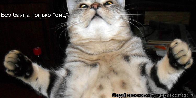 Без баяна только "ойц"... Котоматрица: Без баяна только "ойц"