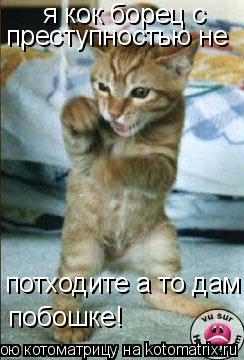 я кок борец с преступностью не потходите а то дам побошке!... Котоматрица: я кок борец с преступностью не потходите а то дам побошке!