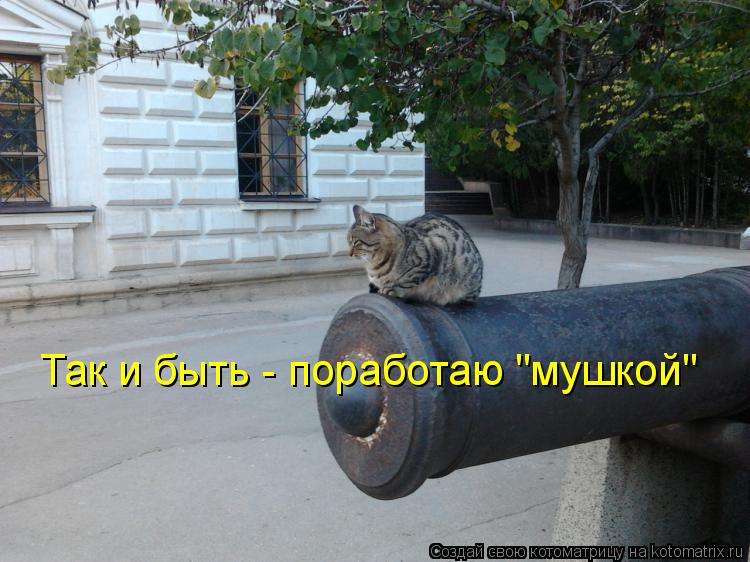 Так и быть - поработаю "мушкой"... Котоматрица: Так и быть - поработаю "мушкой"