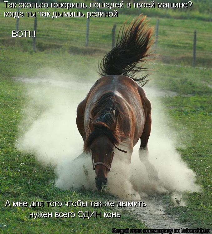 когда ты так дымишь резиной ВОТ!!! А мне для того чтобы так-же дымить нужен всего ОДИН конь Так сколь... Котоматрица: когда ты так дымишь резиной ВОТ!!! А мне для того чтобы так-же дымить нужен всего ОДИН конь Так сколько говоришь лошадей в твоей машине?