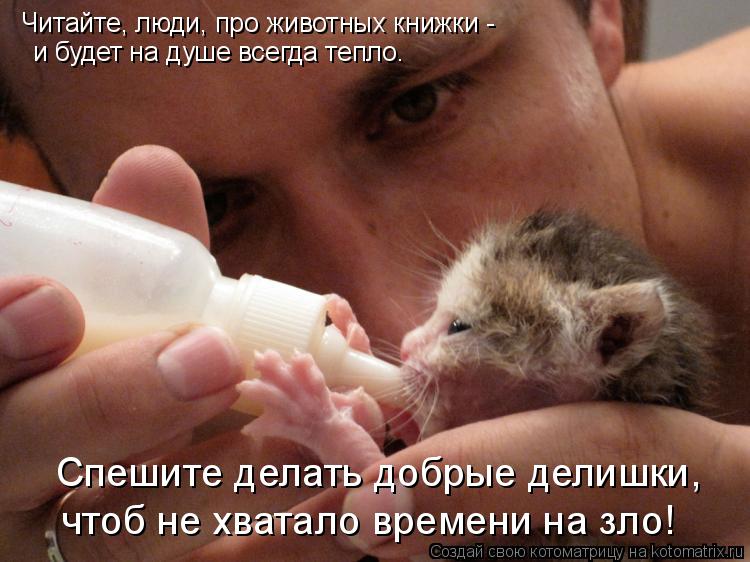 Котоматрица: Читайте, люди, про животных книжки -  и будет на душе всегда тепло. Спешите делать добрые делишки,  чтоб не хватало времени на зло!