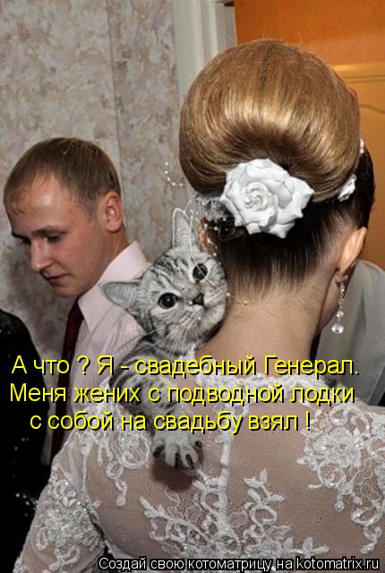 А что ? Я - свадебный Генерал. Меня жених с подводной лодки с собой на свадьбу взял !... Котоматрица: А что ? Я - свадебный Генерал. Меня жених с подводной лодки с собой на свадьбу взял !