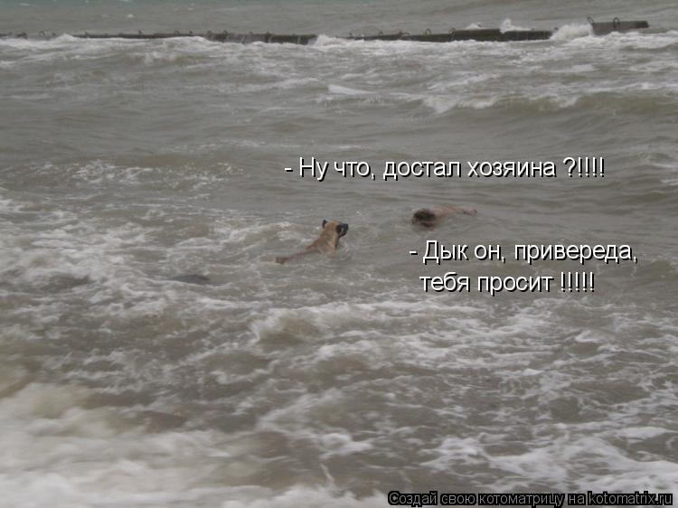 - Ну что, достал хозяина ?!!!! - Дык он, привереда, тебя просит !!!!!... Котоматрица: - Ну что, достал хозяина ?!!!! - Дык он, привереда, тебя просит !!!!!