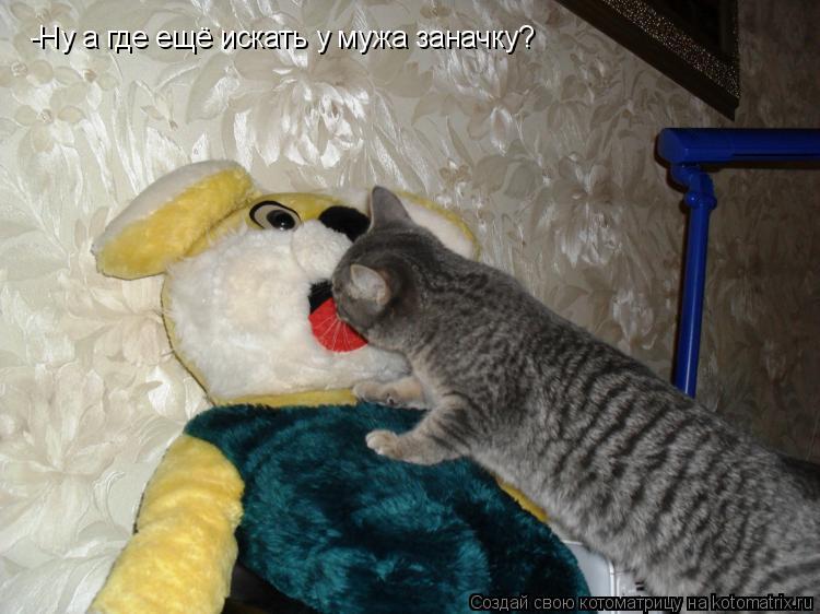 -Ну а где ещё искать у мужа заначку?... Котоматрица: -Ну а где ещё искать у мужа заначку?