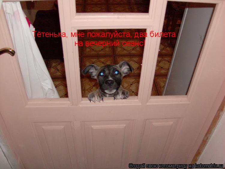 Тётенька, мне пожалуйста, два билета на вечерний сеанс!... Котоматрица: Тётенька, мне пожалуйста, два билета на вечерний сеанс!