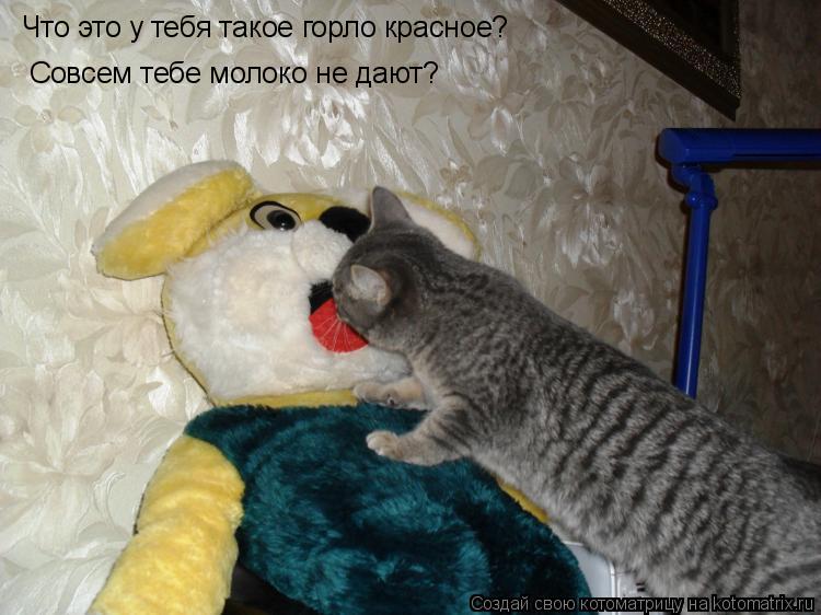 Что это у тебя такое горло красное? Совсем тебе молоко не дают?... Котоматрица: Что это у тебя такое горло красное? Совсем тебе молоко не дают?