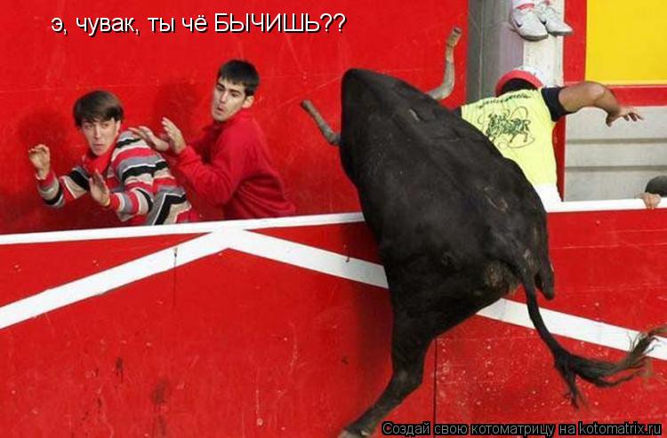 э, чувак, ты чё БЫЧИШЬ??... Котоматрица: э, чувак, ты чё БЫЧИШЬ??